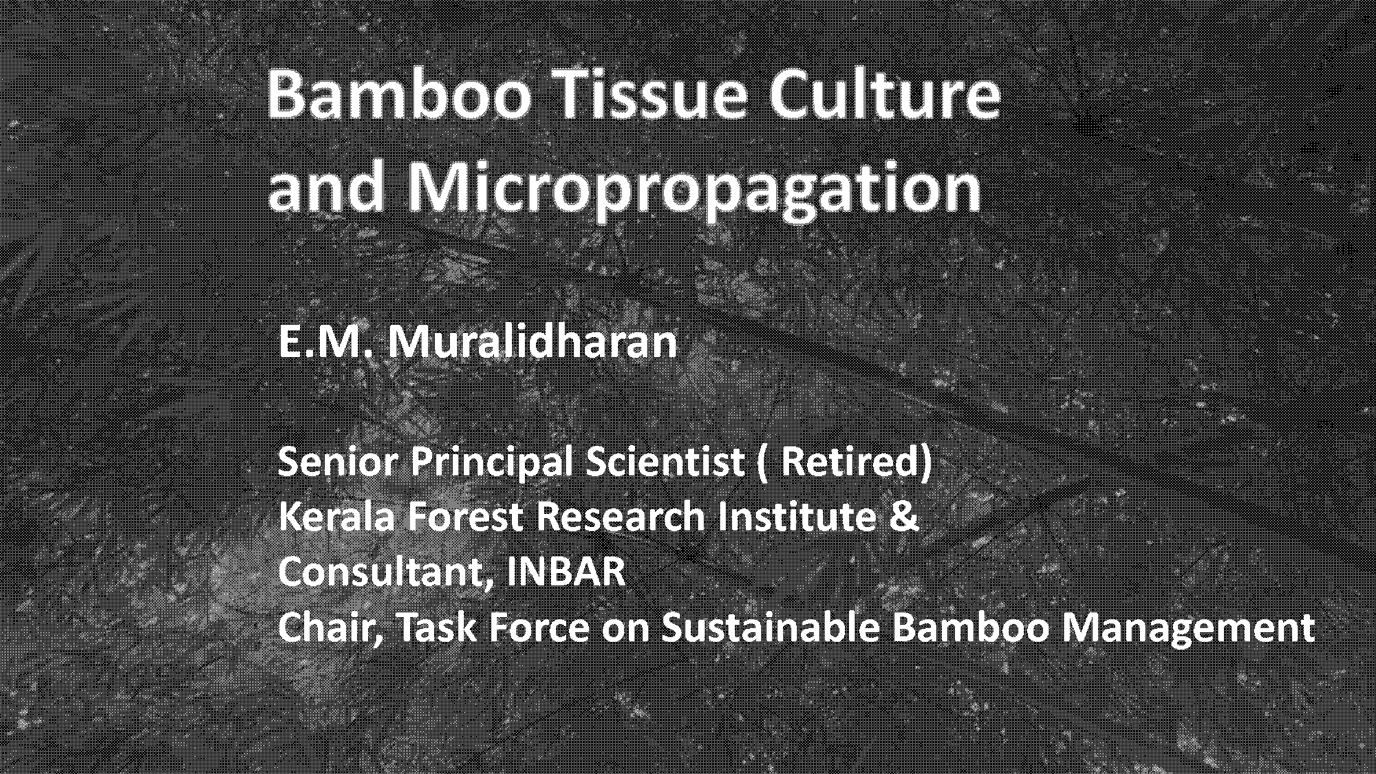 bamboo tissue culture protocols