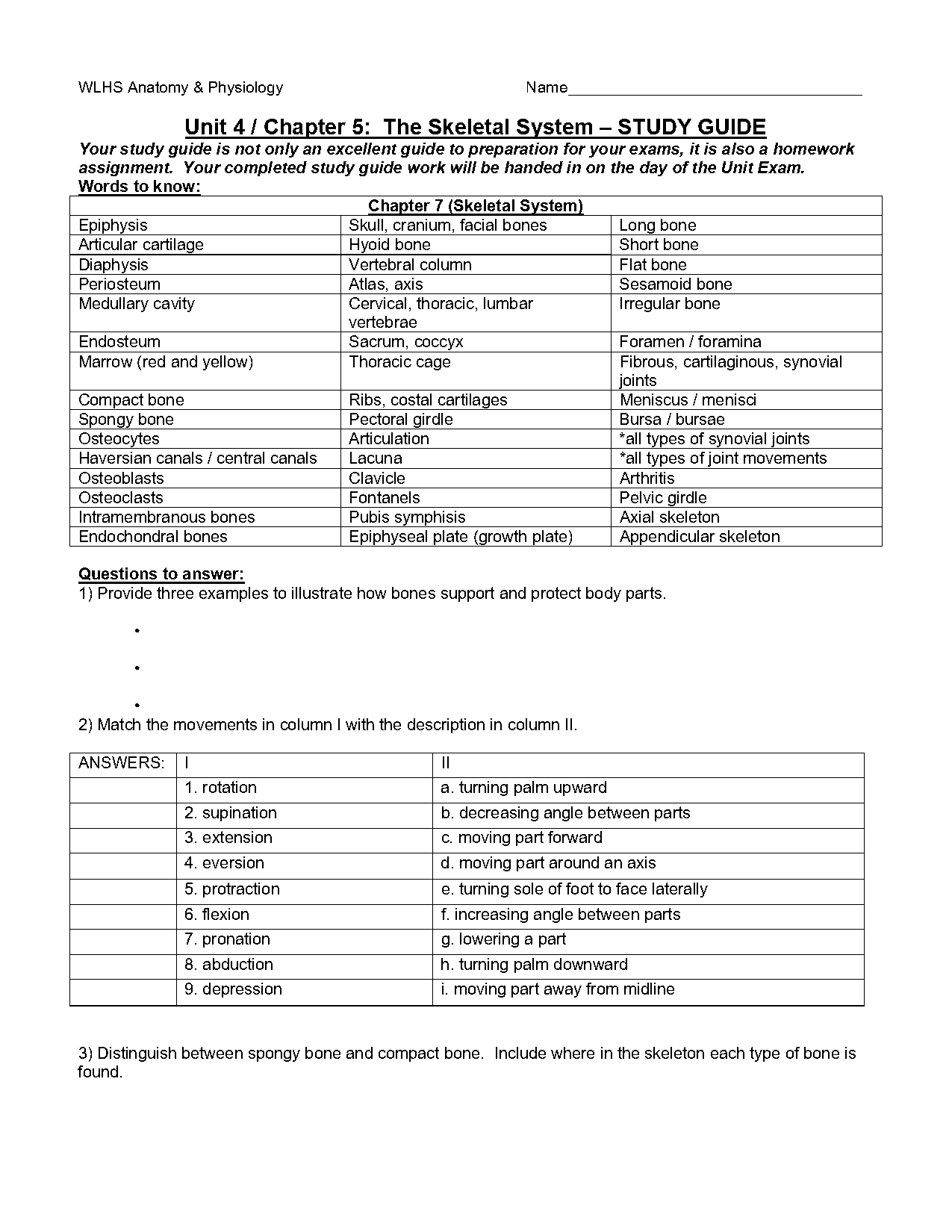 skeletal system study guide worksheet