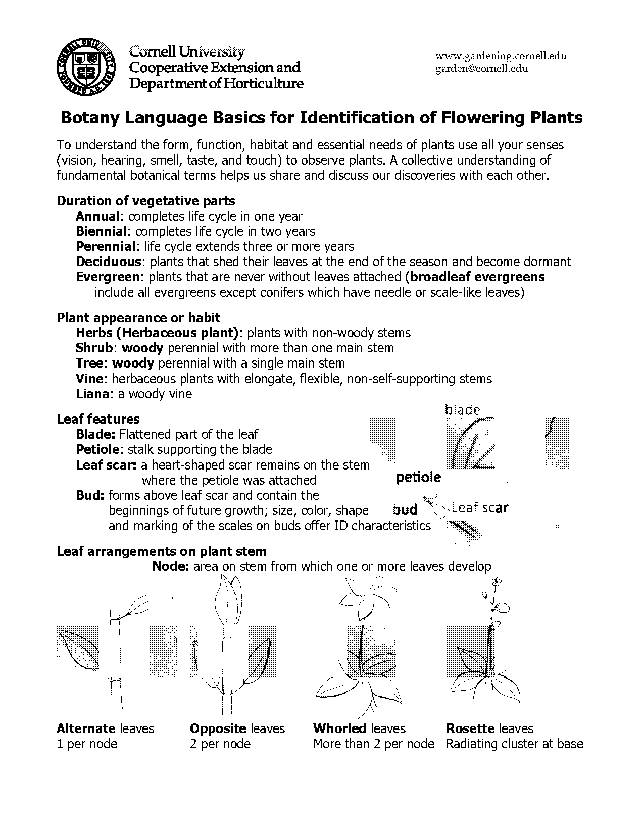 botanical terms for flowers