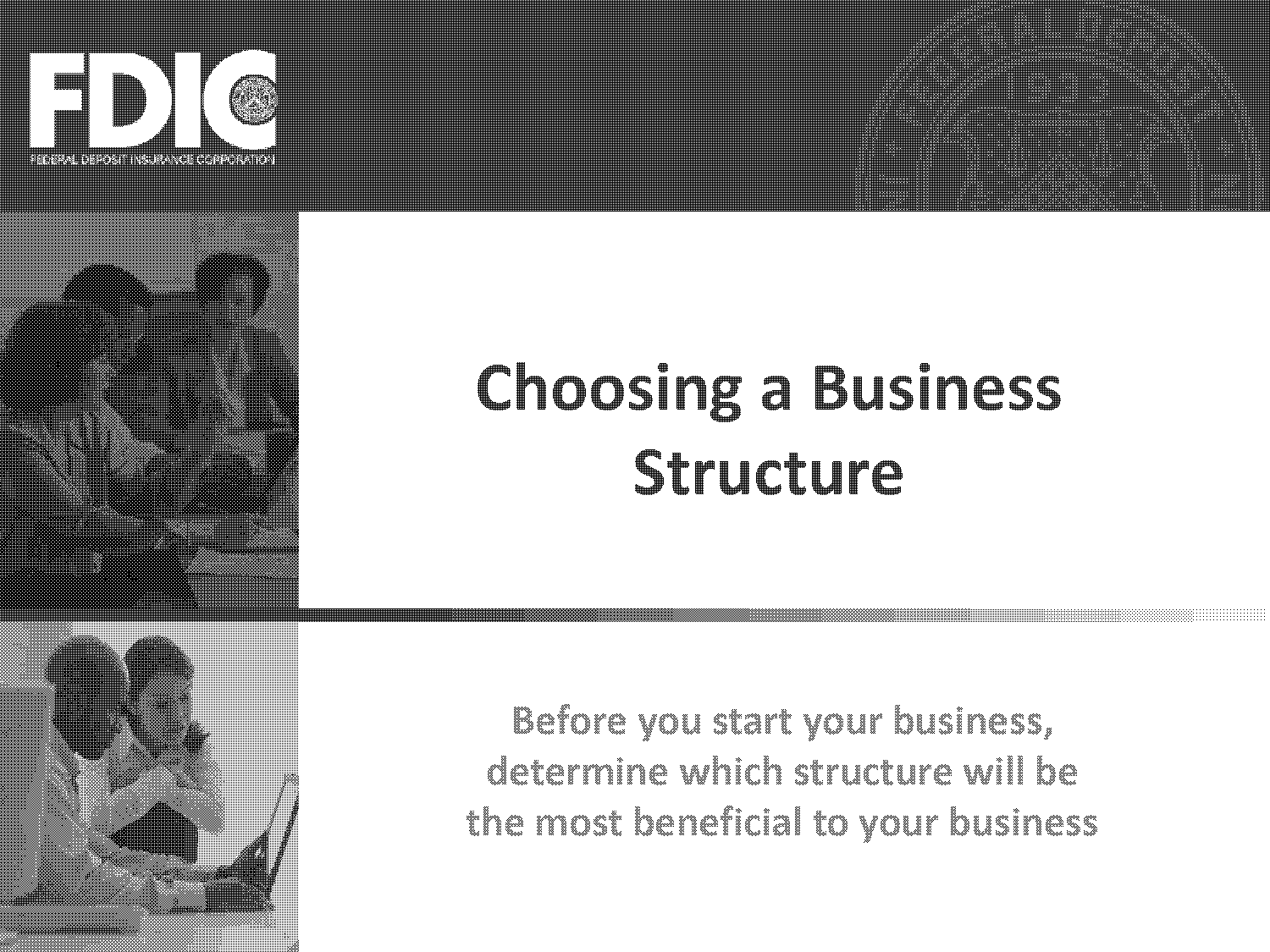 business structure definition pdf