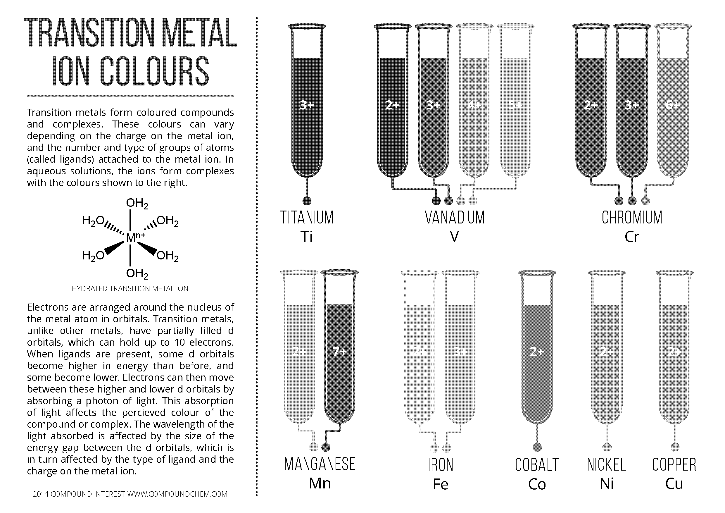 transition metals form complex compounds