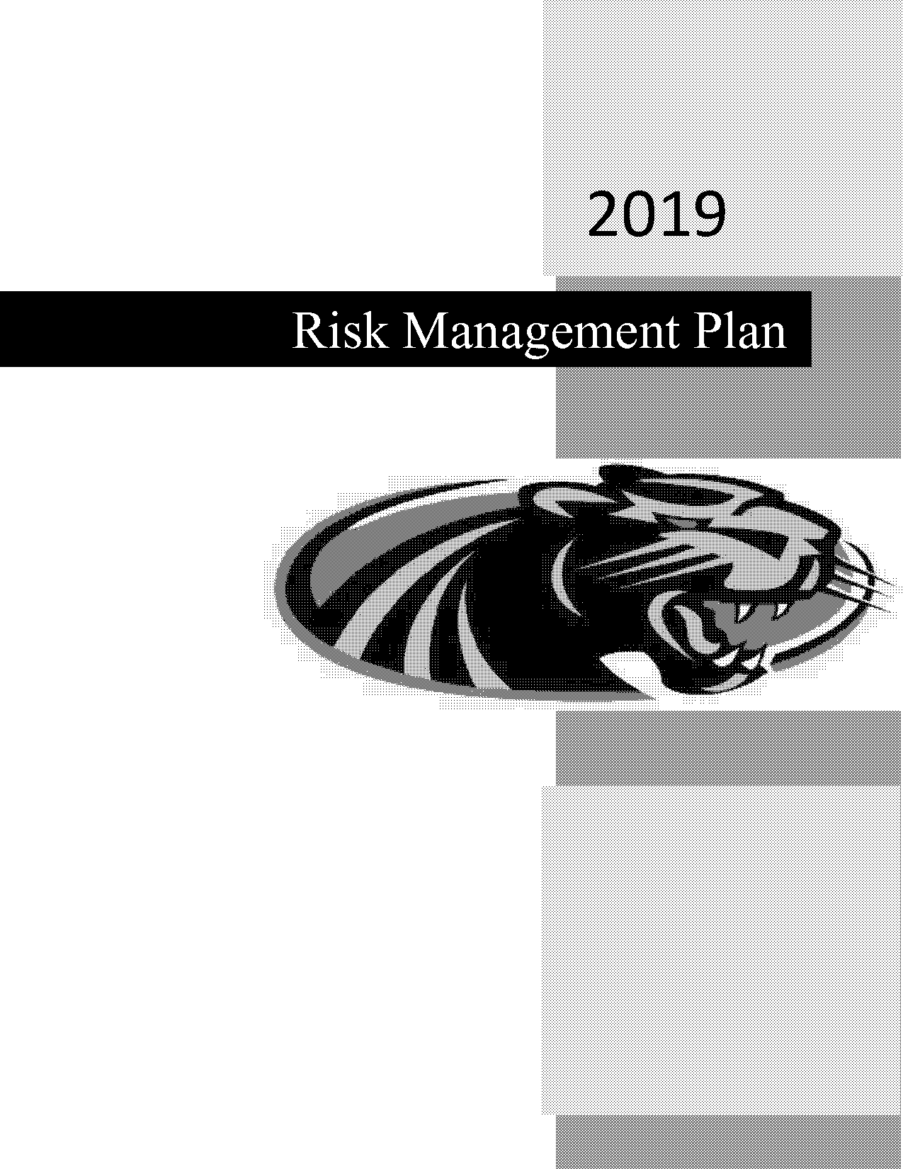 example it risk management plan pdf