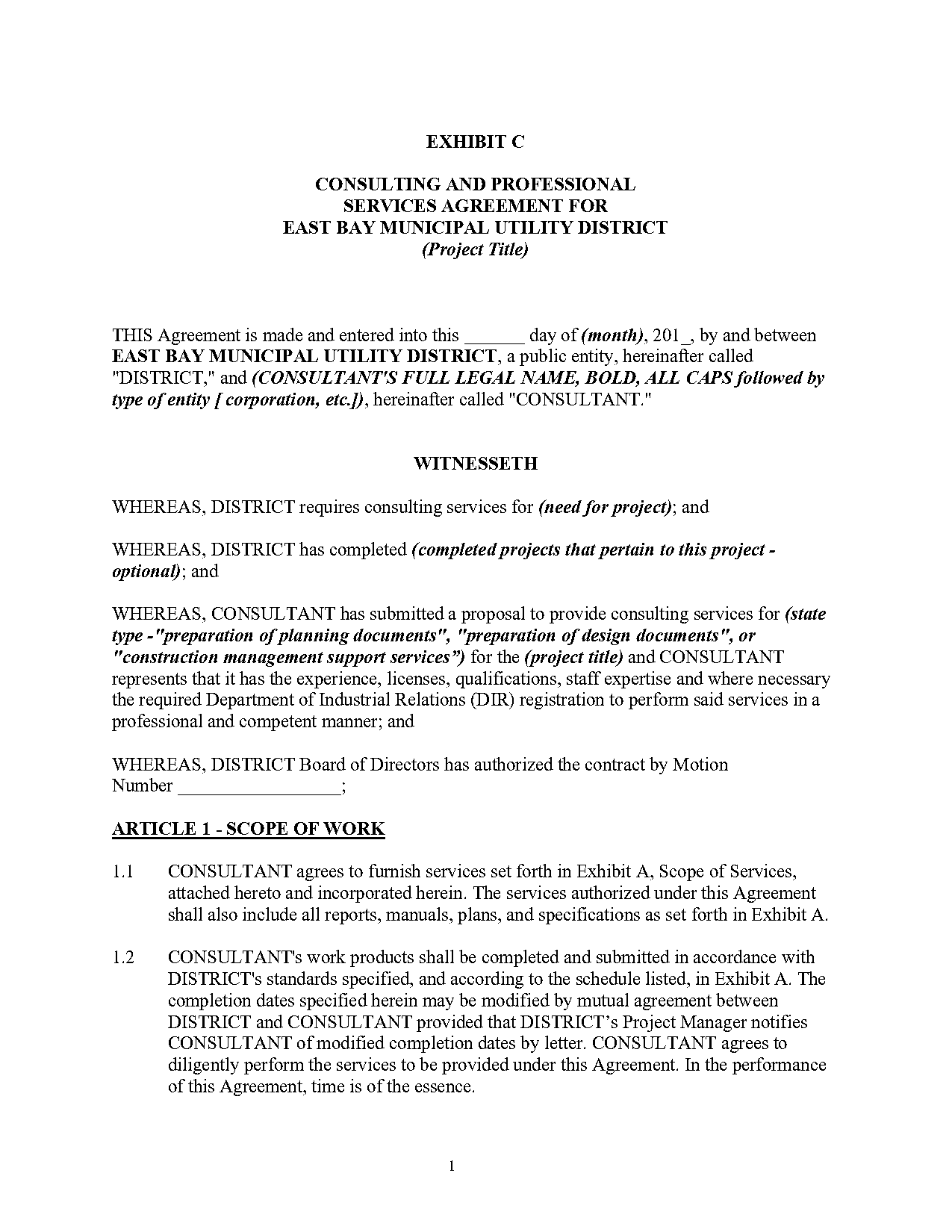 professional service agreement example