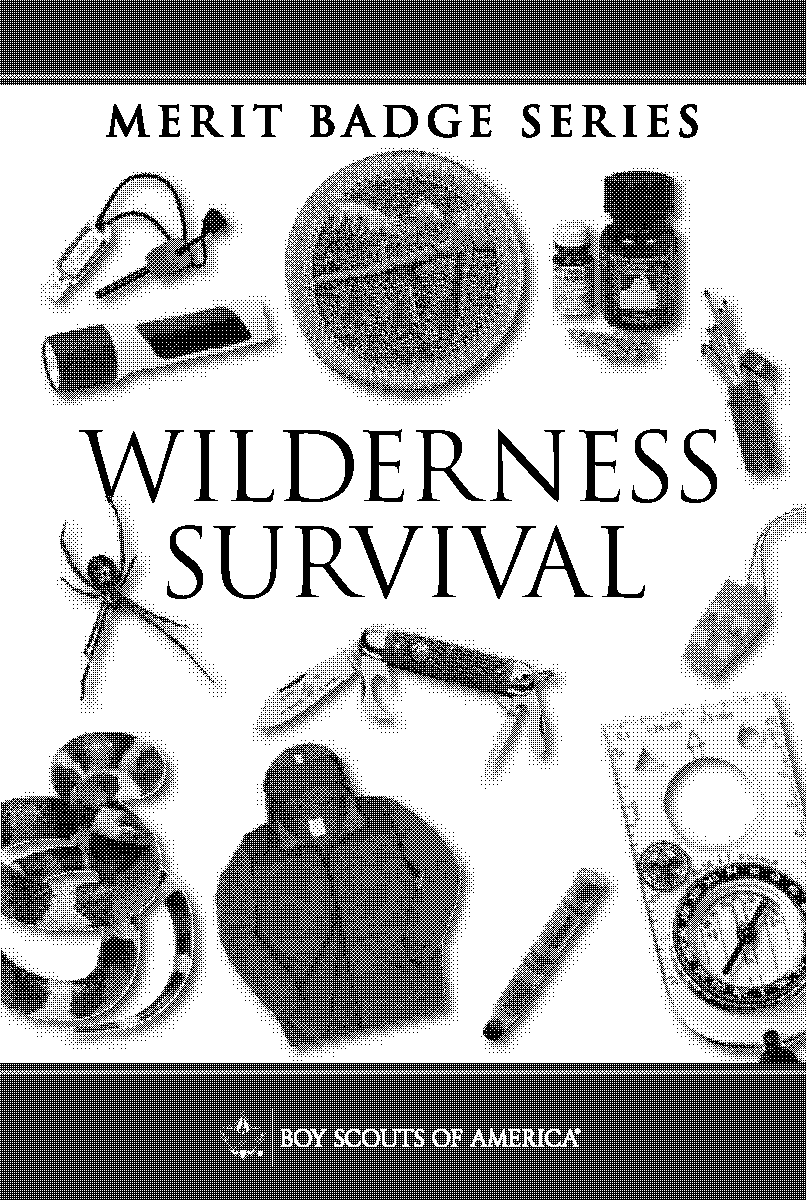 is wilderness survival a required merit badge