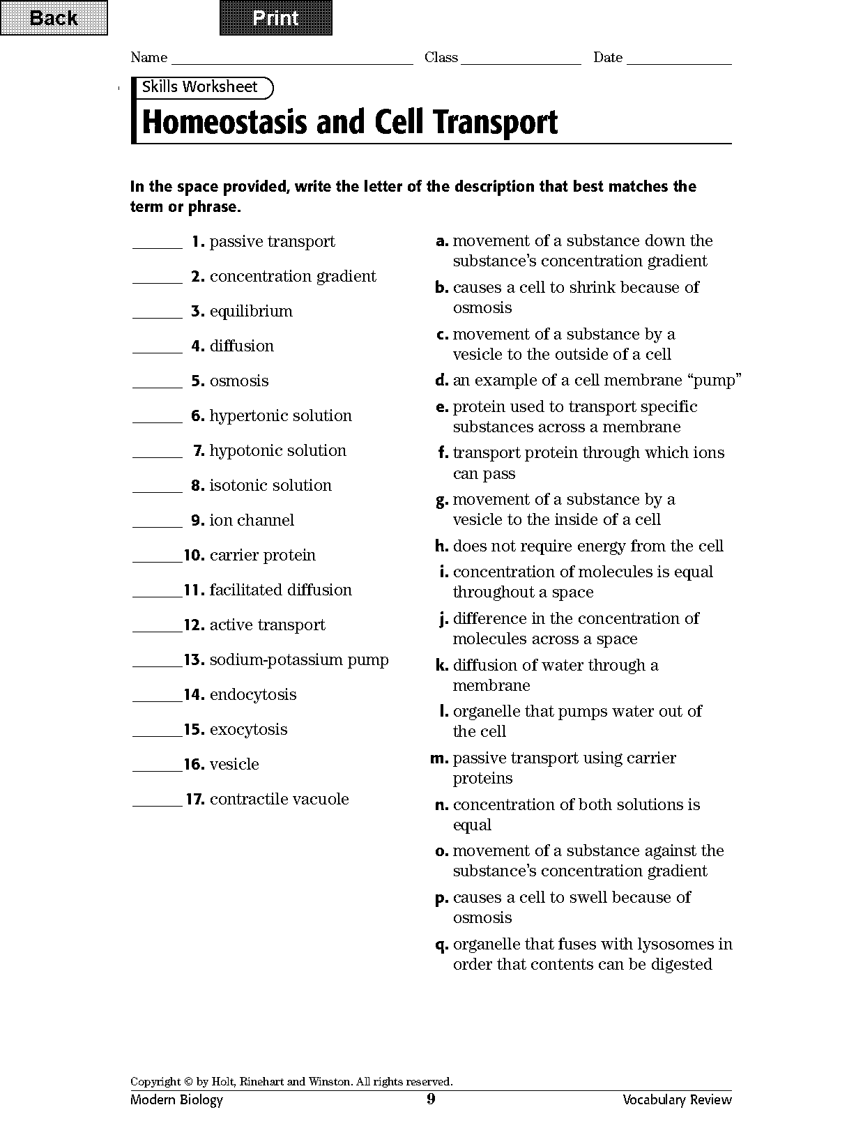 cell membrane concept map worksheet