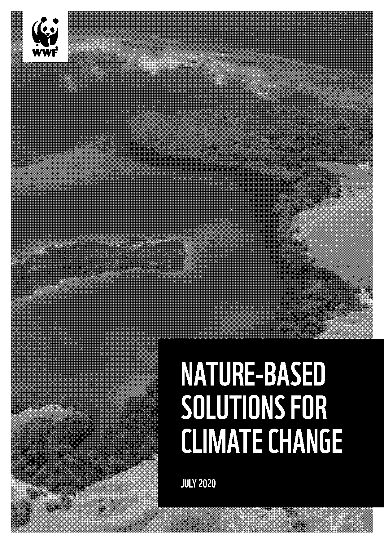 climate change solutions pdf