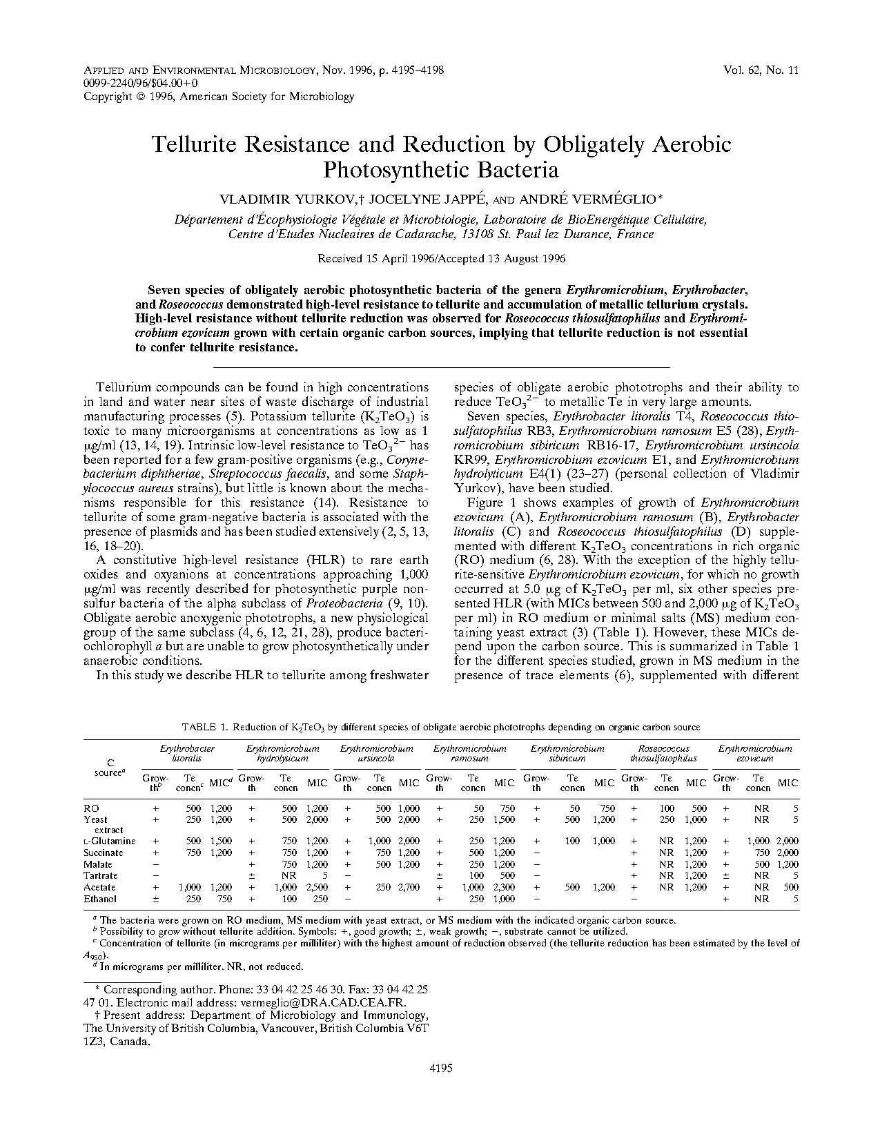 obligate aerobe genus bacteria