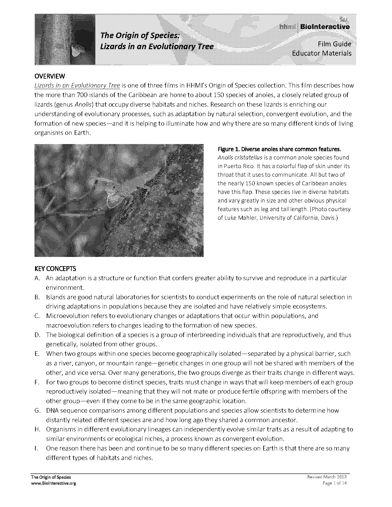 mammals structure and function worksheet