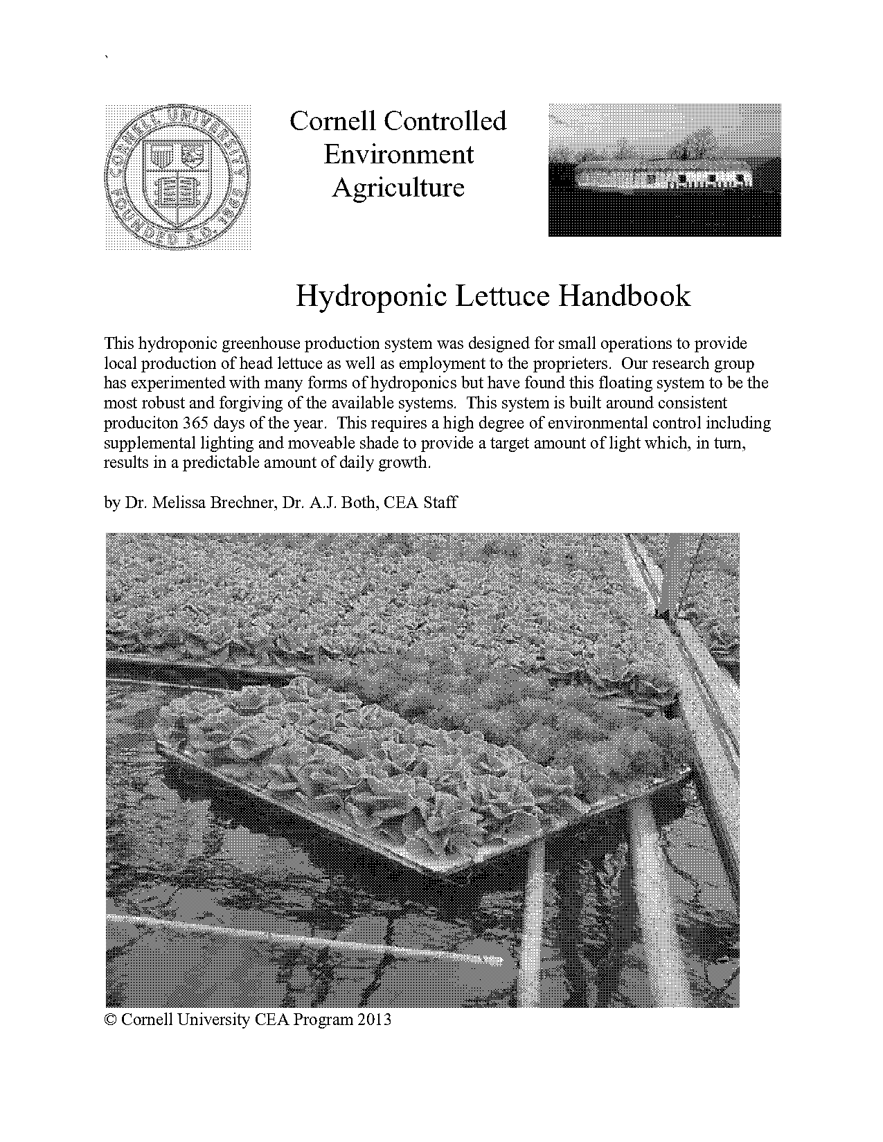 example of hydroponics using flooding